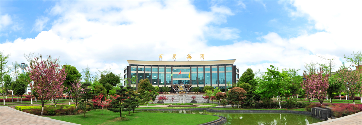 贵州百灵集团 - 副本.png