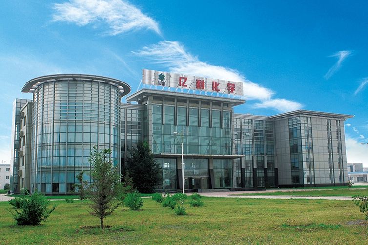 内蒙古亿利化学工业 - 副本.jpg